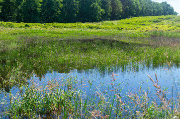 Trail Down to Pond at Rocky Ridge Park in York, PA