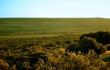 Obraz premium Brownish grassland scenic landscape