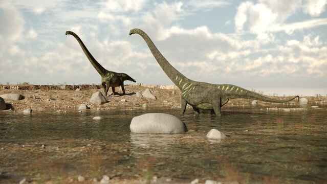 3d rendering of the walking and grazing mamenchisaurus dinosaur
