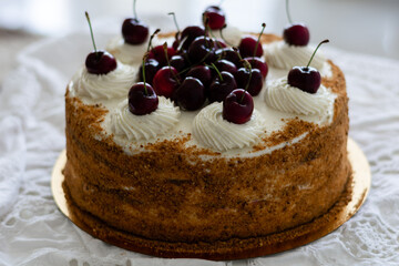 Medovik - layered russian honey cake garnished  with fresh cherries