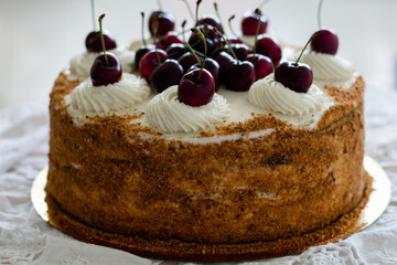 Medovik - layered russian honey cake garnished  with fresh cherries