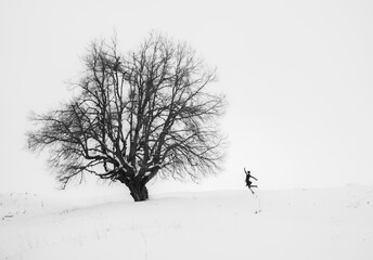 I believe I can fly -winter scene with a tree and a visionary human