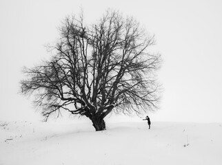 me and my winter tree 