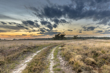 Natural heathland landscape near Hijken