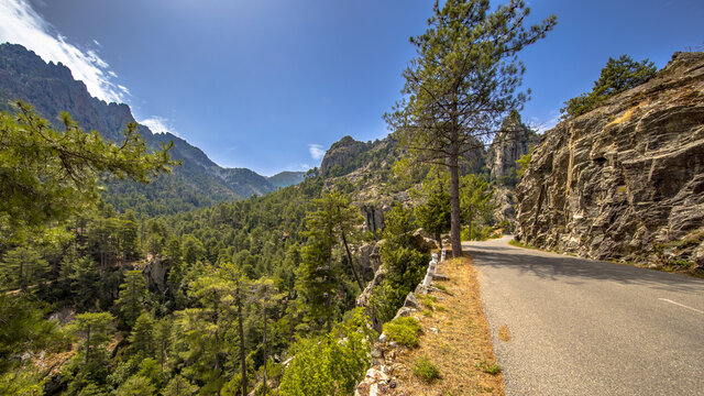 Road through Restonica gorge