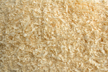 Seamless background texture made of wooden sawdust.