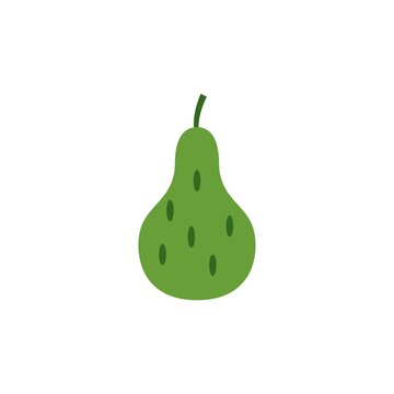 avocado vector design template illustration