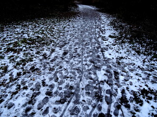 Footprints in the snow, Park Grabiszyński, Wrocław, Polska, Poland.