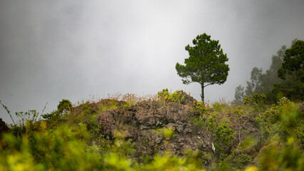 landscape. on volcano batur. Bali. Indonesia