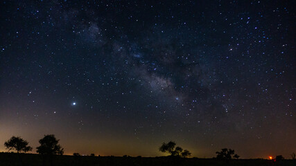Starry Filled Night Sky