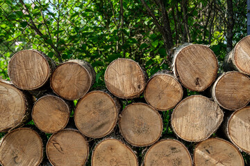 Birch logs for harvesting firewood and fireplace inserts are stacked in slices on the front side, against the background of bushes with green leaves.