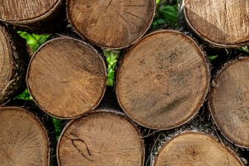 Birch logs for harvesting firewood and fireplace inserts, stacked in the foot with slices on the front side close-up.