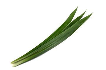Fresh pandan leaves,isolated on white background