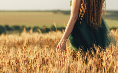 Beautiful woman in green dress walkink across field and touches ears of wheat with hand at sunset...