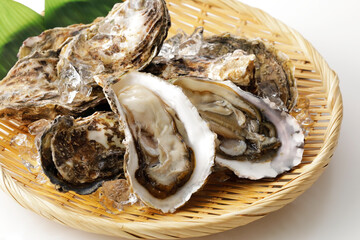 生牡蠣の盛り合わせ(北海道厚岸産)　Oyster platter