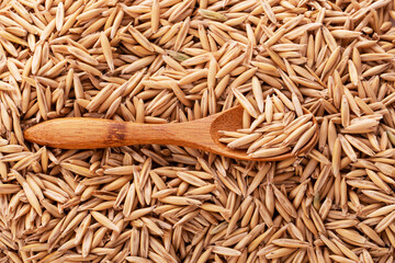 oat grains in a wooden spoon on the background of scattered oat grains
