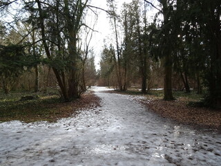 Droga w parku ze śniegiem