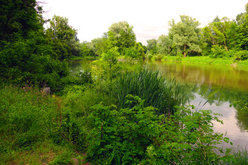 Fototapeta premium Two rivers merge into one common river in beautiful nature