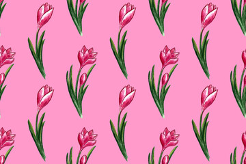 Watercolor illustration of spring flowers. Seamless pattern with hand drawn wildflowers. Floral element for fresh summer design.