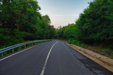 road in the forest