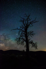 Fototapeta na wymiar Milky way in Arizona