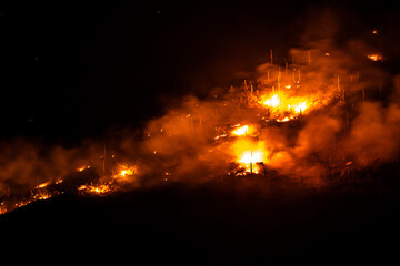 Fototapeta na wymiar Bighorn Fire in Tucson AZ