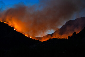 Bighorn Fire in Tucson AZ