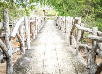 Naklejka premium walkway pathway footbridge in park