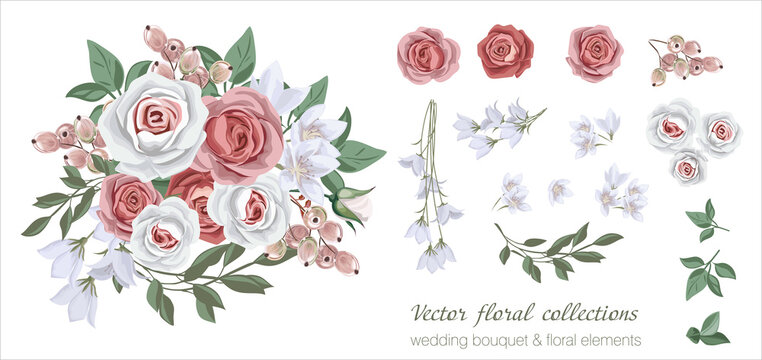 Vector floral set with leaves and flowers. Elements for your compositions, greeting cards or wedding invitations. Red and white roses, berries and white flowers