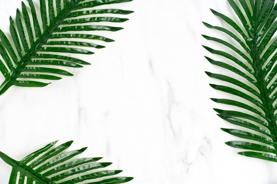 Tropical green leaf composed as a frame on white marble stone background with content space © Екатерина Вундер