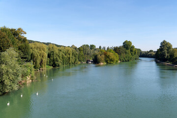 Swans on Marne river in  La Ferté-sous-Jouarre village