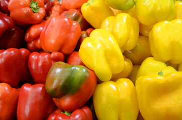 Obraz na płótnie Canvas Bulgarian or Bell pepper - red, green and yellow. Beautiful showcase with vegetables 