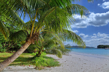 Plage paradisiaque de l'océan indien