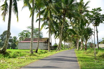 Obraz premium Local countryside road at Ubud, Indonesia with traditional houses along the way.