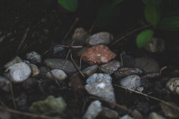 rocks on the ground 