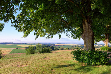 Hill of Doue panorama  in Seine et Marne country