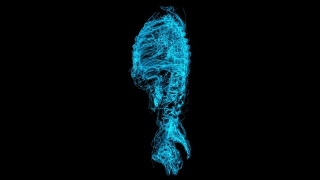 3d hologram of huma torso spinning on alpha channel background.