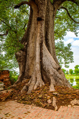 Fototapeta premium It's Yadana Hsemee Pagoda, Inwa, Mandalay Region, Burma. One of the attractions for tourists
