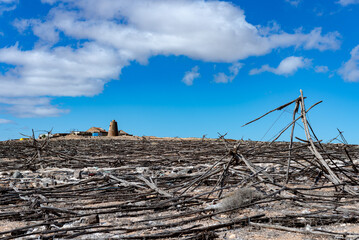 Fototapeta na wymiar Greenhouse remains made with wild olive wood in old tomato and cucumber crops from the Canary Islands with an old military watchtower in the background