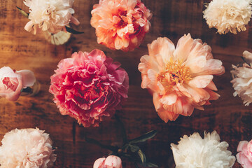 Abundance of Peonies Bouquet, Fresh bunch of flowers on rustic background. Card Concept, shoot from above, flat lay