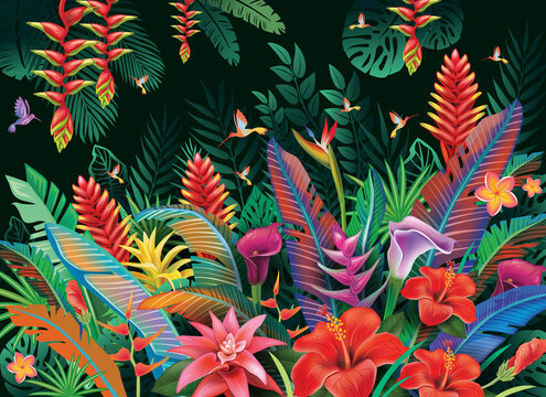Tropical background from tropical flowers and hummingbird