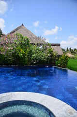 Swimming pool and bar area that facing paddy field at Bali, Indonesia.
