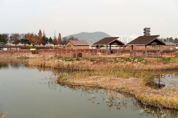 Fototapeta na wymiar Ecological park. Gaetgol Eco Park in Siheung-si, South Korea. 