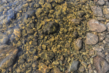 The pebbly river bottom.