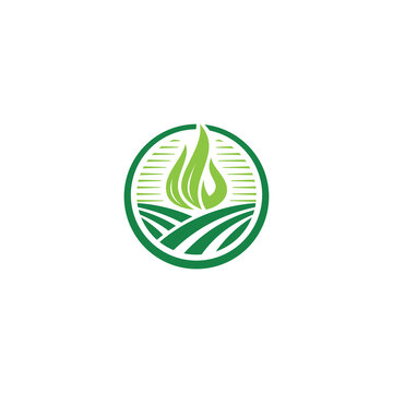 Farm, Flame and Leaf logo / icon design