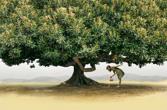 Joven en el campo regando un gran arbol