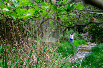 Hugging couple as seen through a spider net in a forest during a spring afternoon.