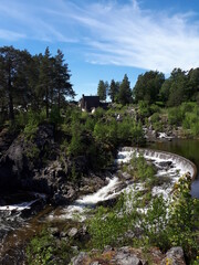 Lots of green vegetation along the river bank - Jevnaker, Kistefos 