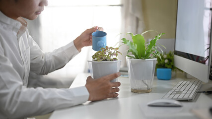 Fototapeta premium An office man is watering the potted plant at the white working desk.