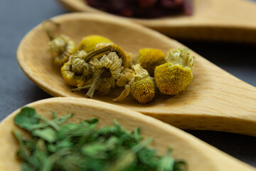 Spices background on wooden spoons. Parsley, chamomile, hibiscus